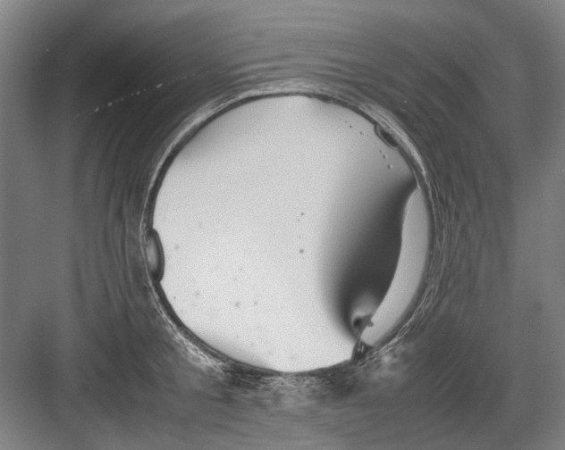 X0000082200805200702170017