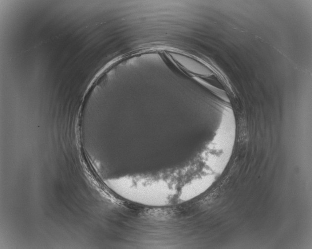 X0000082200806200702170017