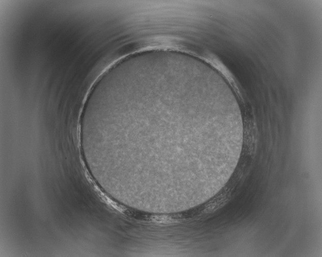 X0000082200807200702170017