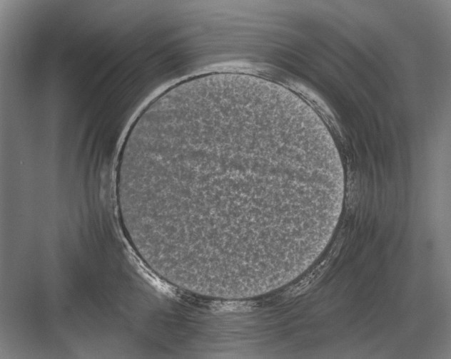 X0000082200808200702170017