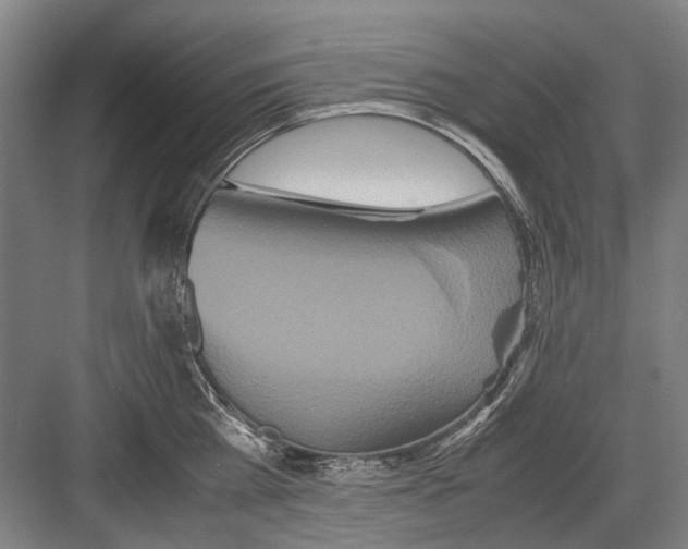 X0000082200809200702170017