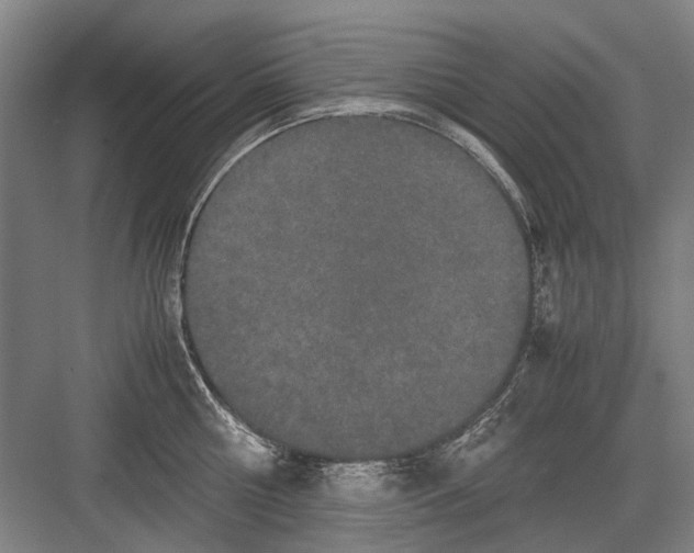 X0000082200810200702170017