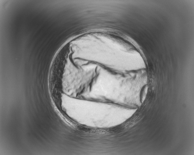 X0000082200811200702170017