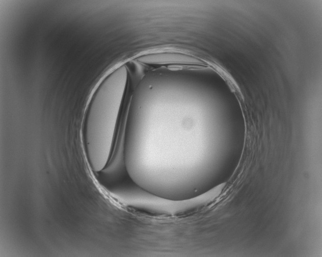 X0000082200813200702170016