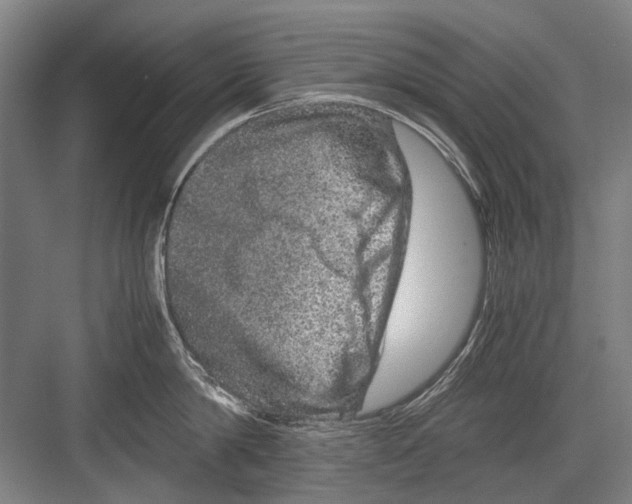 X0000082200814200702170016