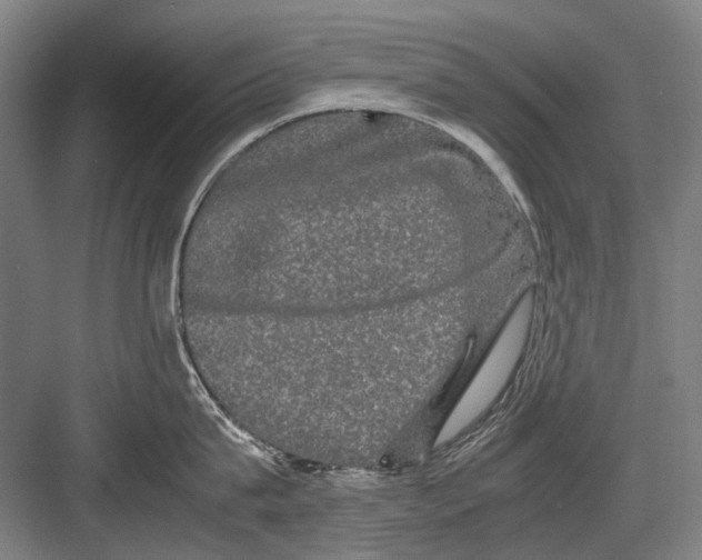 X0000082200815200702170016