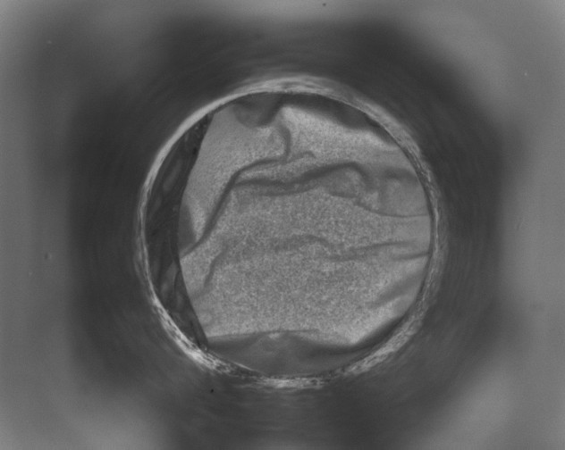 X0000082200816200702170016