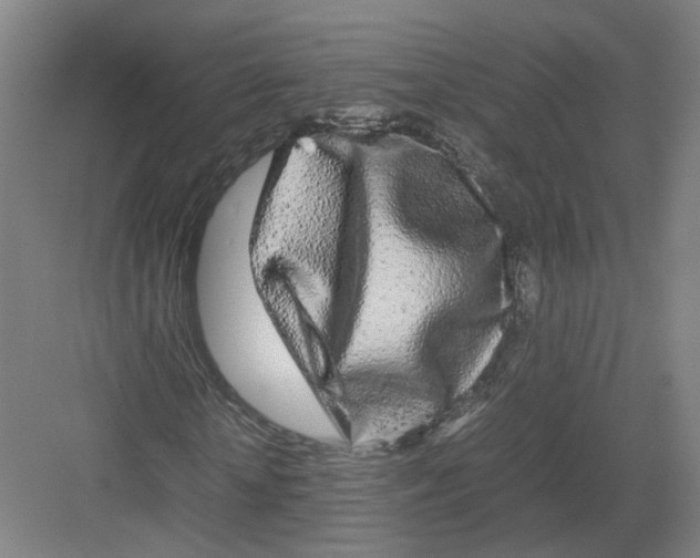 X0000082200818200702170016