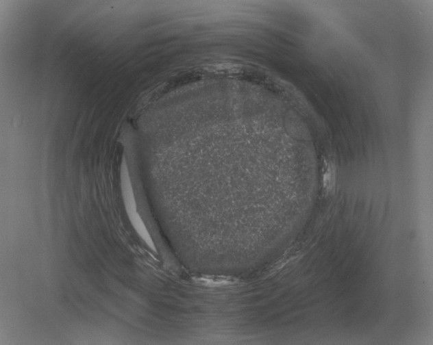 X0000082200819200702170016