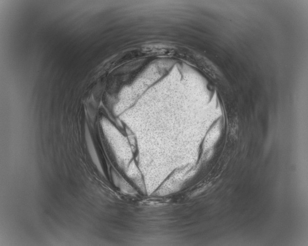 X0000082200821200702170016