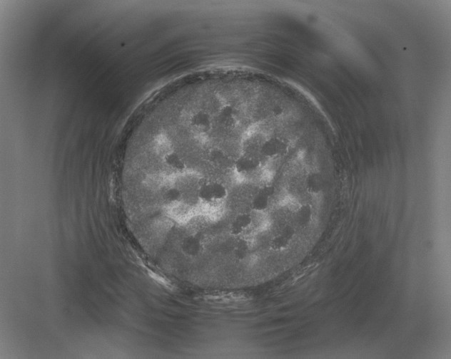 X0000082200823200702170016