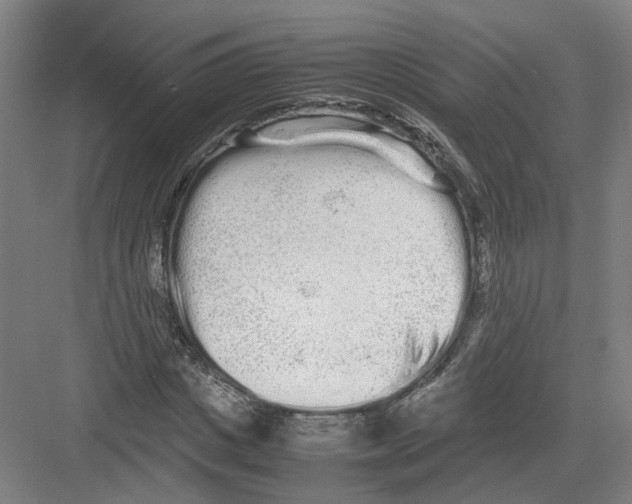 X0000082200825200702170016