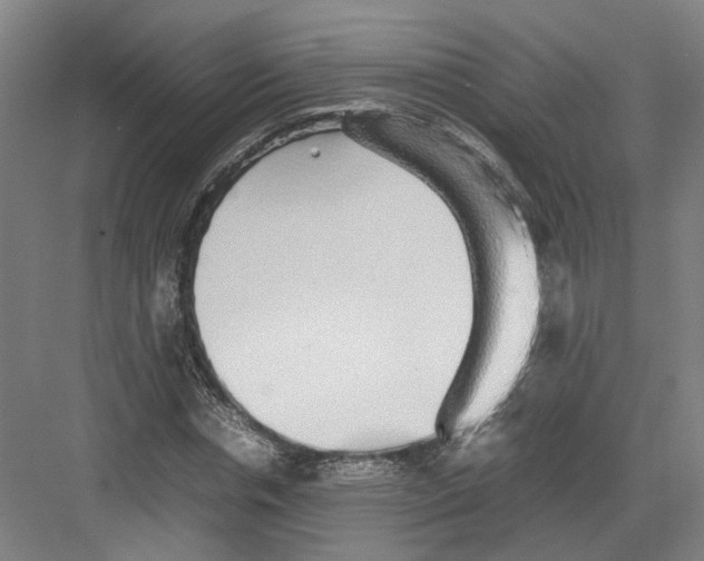 X0000082200826200702170016