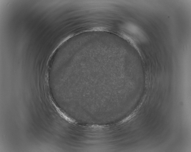 X0000082200827200702170016