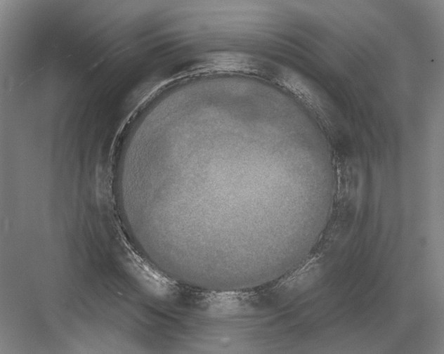 X0000082200828200702170016