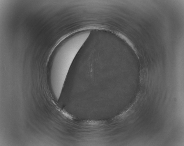 X0000082200829200702170016