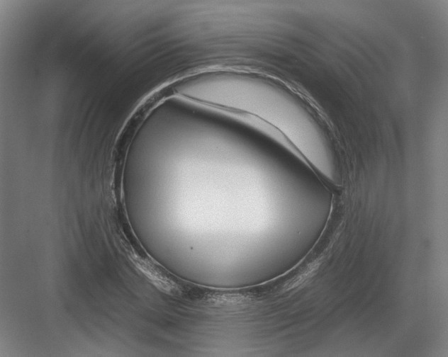 X0000082200830200702170016