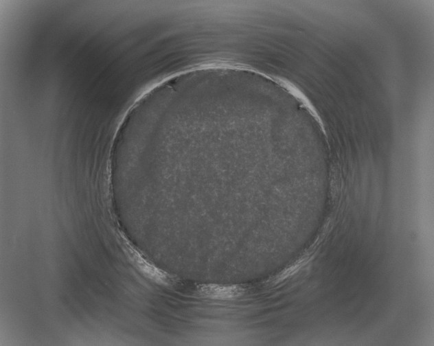 X0000082200831200702170016