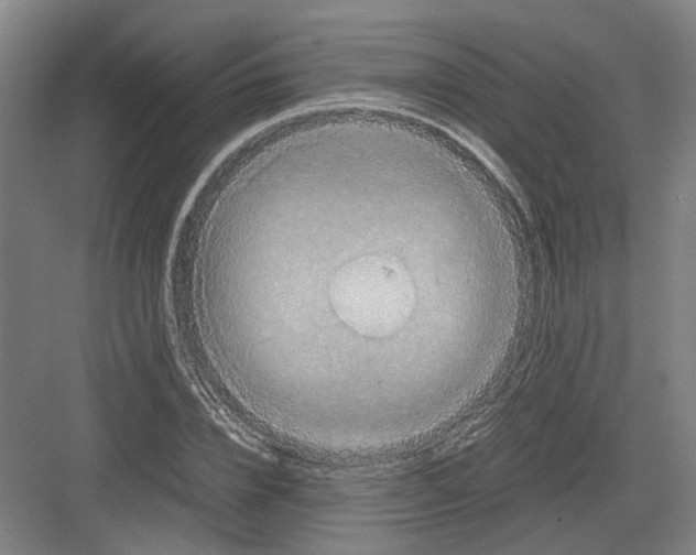 X0000082200832200702170016