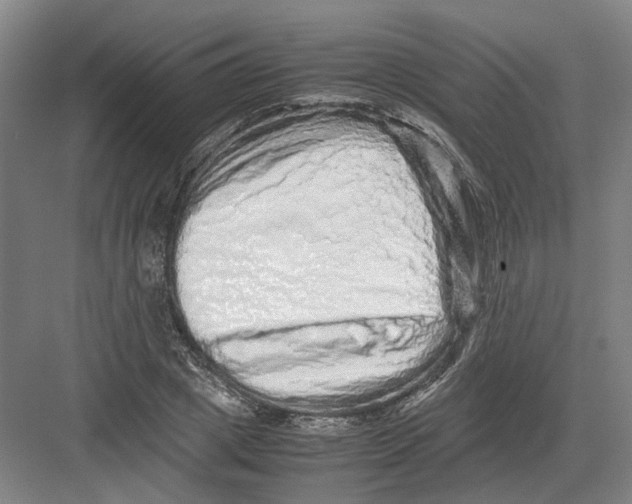 X0000082200833200702170016