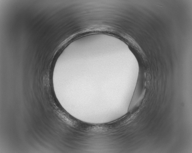 X0000082200834200702170016