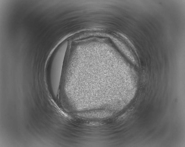 X0000082200835200702170016