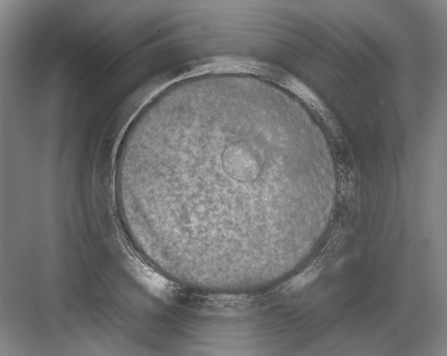 X0000082200836200702170016