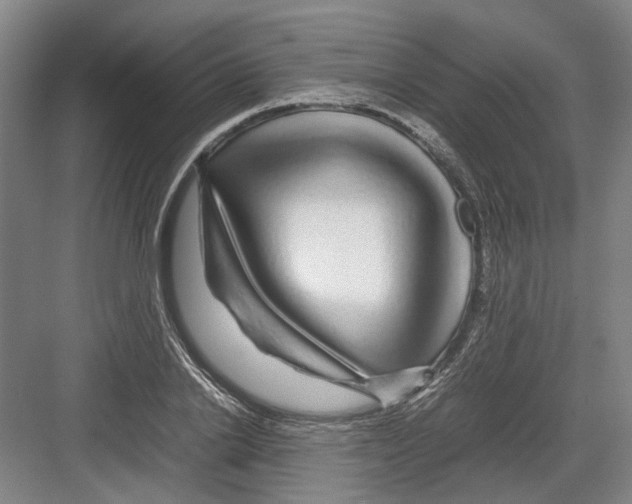 X0000082200838200702170016