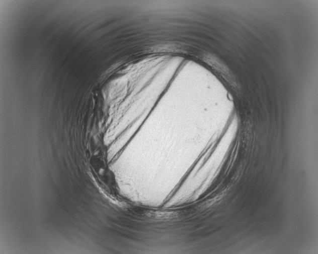 X0000082200841200702170016