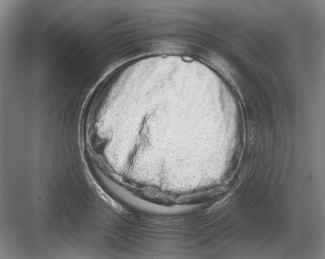 X0000082200843200702170016