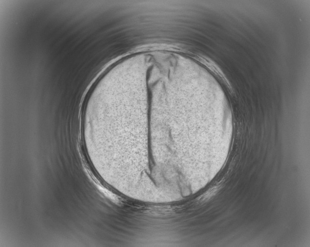 X0000082200844200702170016