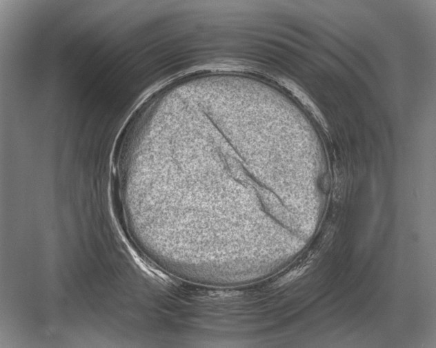 X0000082200845200702170016