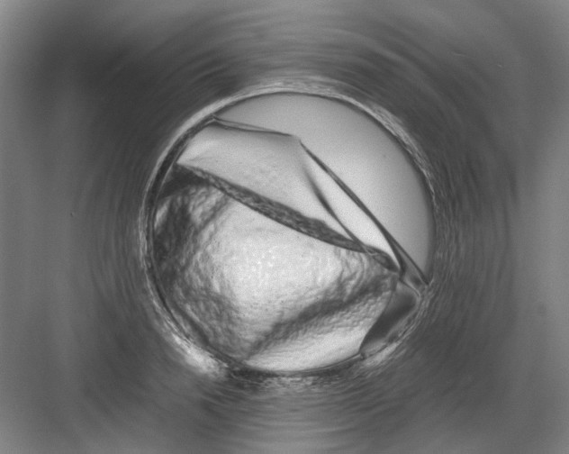 X0000082200846200702170016