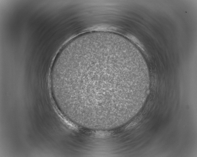 X0000082200848200702170016