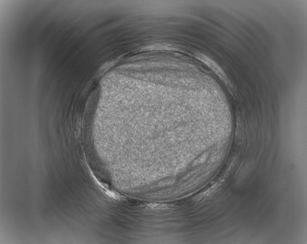 X0000082200849200702170016