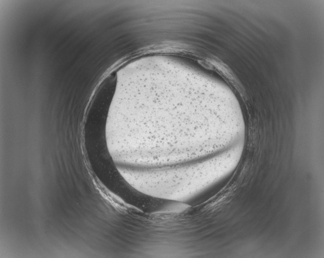 X0000082200850200702170016