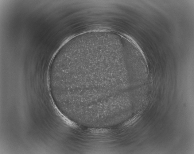 X0000082200851200702170016