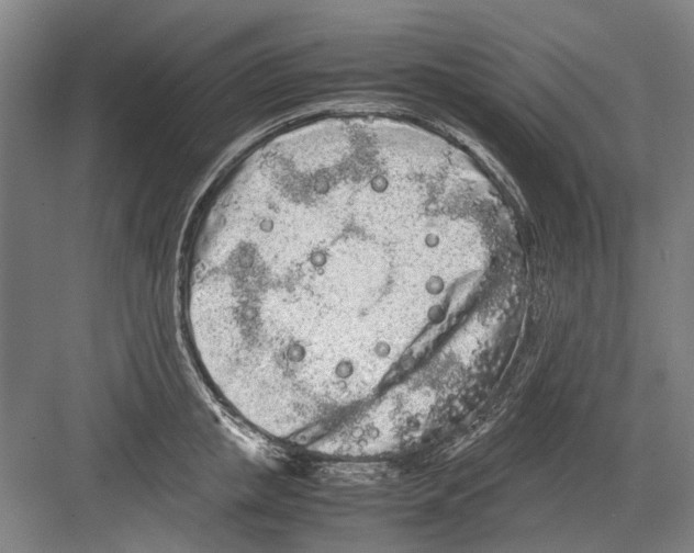 X0000082200853200702170016