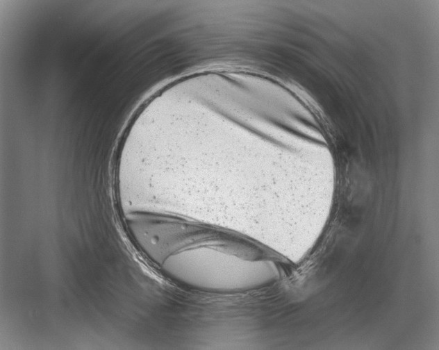 X0000082200854200702170016