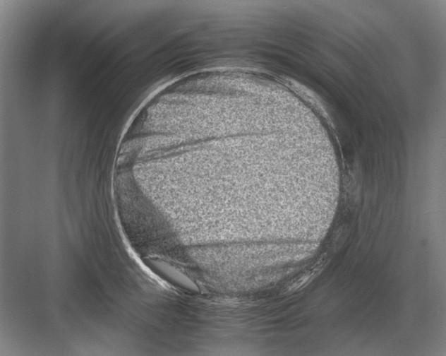 X0000082200855200702170016