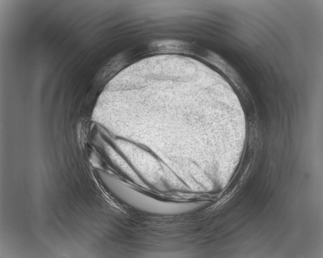 X0000082200857200702170016