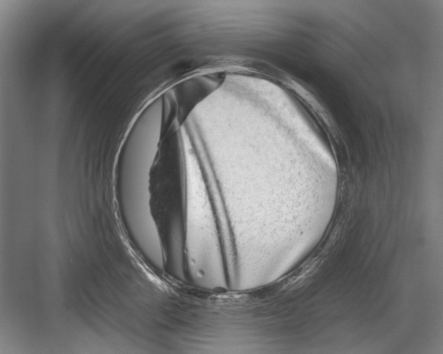 X0000082200858200702170016