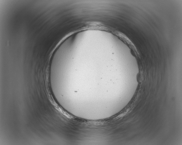 X0000082200860200702170016