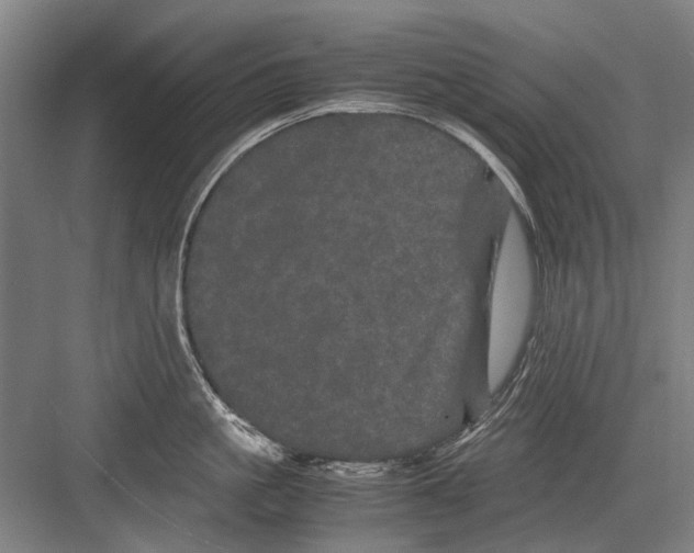 X0000082200861200702170016