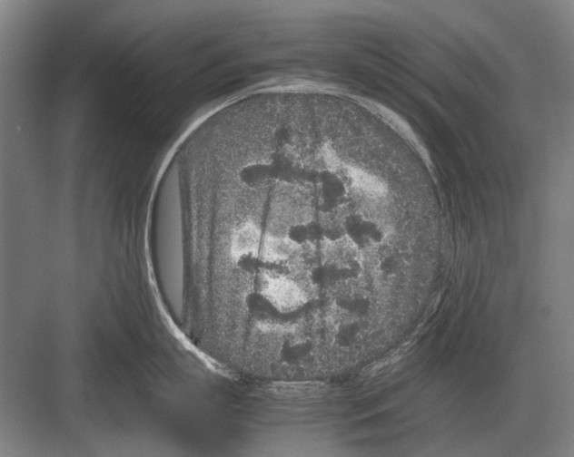 X0000082200863200702170016