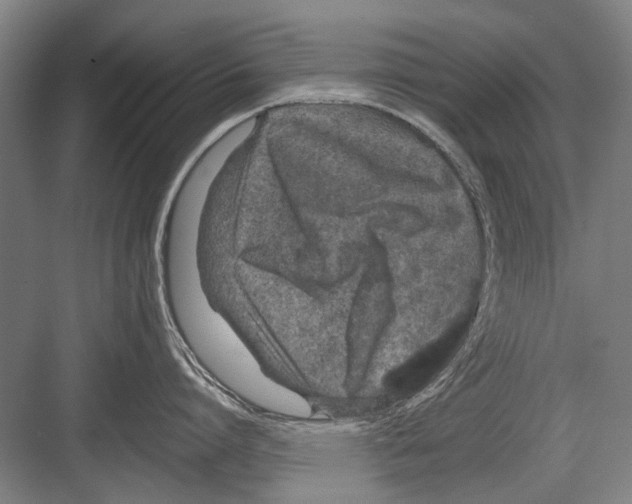 X0000082200864200702170016