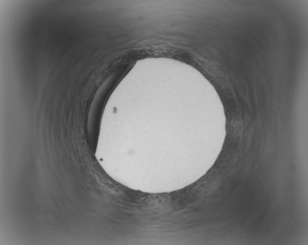 X0000082200865200702170016