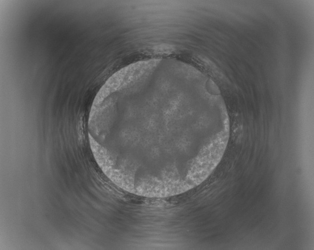 X0000082200866200702170016