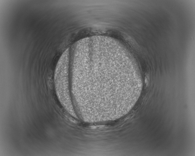 X0000082200867200702170016