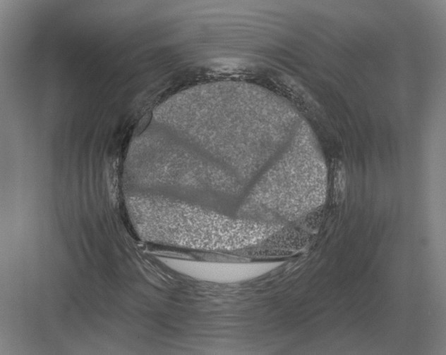 X0000082200868200702170016